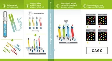 DNA Sequencing