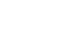 2 Lies and a Leaf